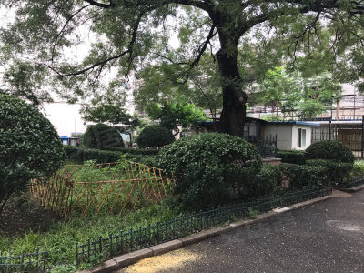 圖片