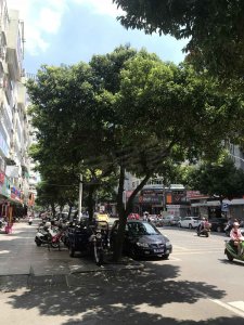 锦龙大厦户型图,锦龙大厦小区实景图,实拍内外景图片-厦门58同城爱房