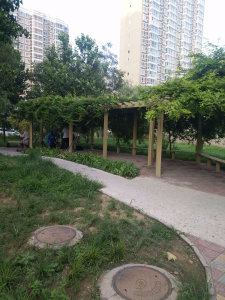 圖片
