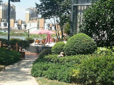 海伦堡珍珠湾花园(别墅)户型图,海伦堡珍珠湾花园(别墅)小区实景图