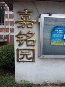 圖片