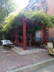 圖片
