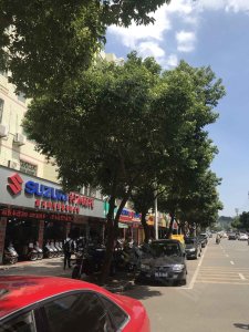 锦龙大厦户型图,锦龙大厦小区实景图,实拍内外景图片-厦门58同城爱房