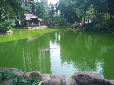 尚湖湾户型图,尚湖湾小区实景图,实拍内外景图片-佛山58同城爱房