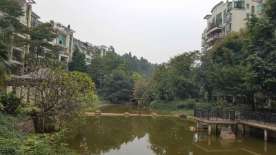 南海湖景湾花园户型图,南海湖景湾花园小区实景图,实拍内外景图片