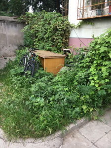 圖片