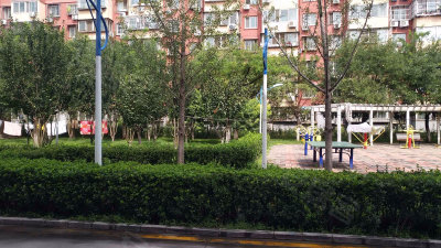 圖片