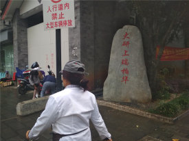 大研上瑞柏华