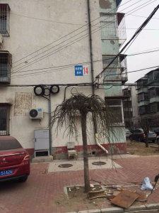 圖片