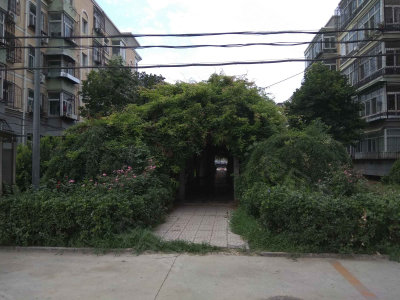 圖片