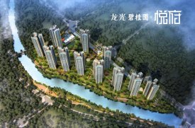龙光碧桂园悦府