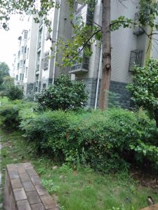 公园3000(公寓住宅)户型图,公园3000(公寓住宅)小区实景图,实拍内外景