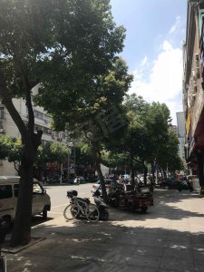 锦龙大厦户型图,锦龙大厦小区实景图,实拍内外景图片-厦门58同城爱房