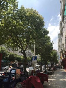 锦龙大厦户型图,锦龙大厦小区实景图,实拍内外景图片-厦门58同城爱房