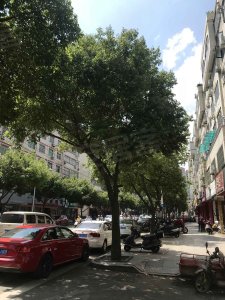 锦龙大厦户型图,锦龙大厦小区实景图,实拍内外景图片-厦门58同城爱房