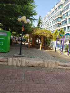 圖片