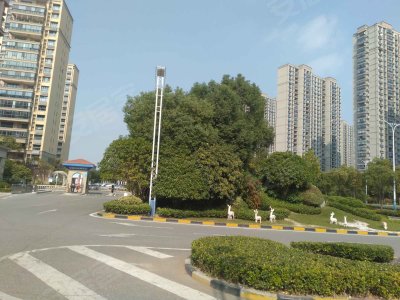 碧桂园御湖半岛户型图,碧桂园御湖半岛小区实景图,实拍内外景图片