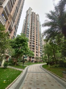 朝南维港半岛户型图,朝南维港半岛小区实景图,实拍内外景图片-清远58