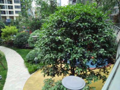 卓锦万黛(商住楼)户型图,卓锦万黛(商住楼)小区实景图,实拍内外景图片