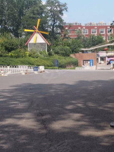 圖片