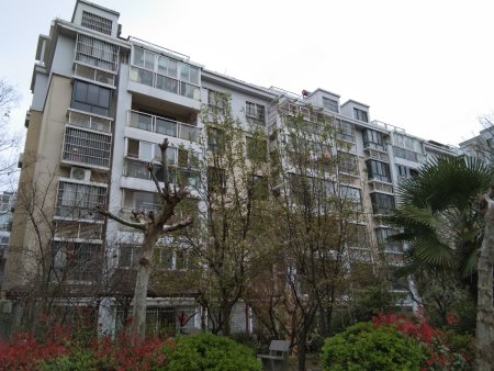 50%建筑类别:多层一室两室三室四室四室以上荣盛西湖观邸蚌埠禹会长盛