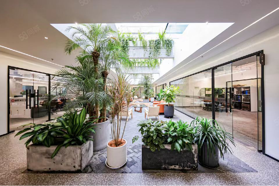 青浦徐泾镇西虹桥德必易园1个月免租精装全配