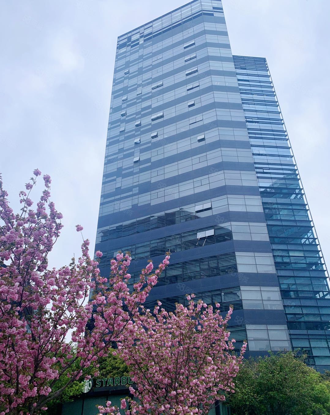 华清大厦饩饩龥㎡