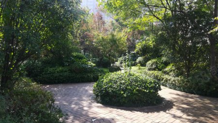 合肥房产信息 合肥租房 合肥小区 高新小区 四季花海小区