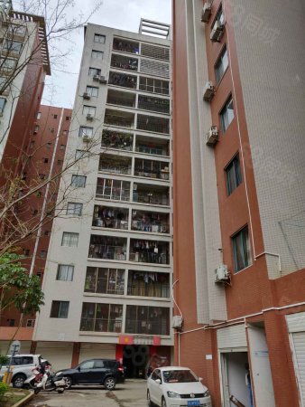 高层一室两室三室四室四室以上诚杰名仕公馆茂名高州