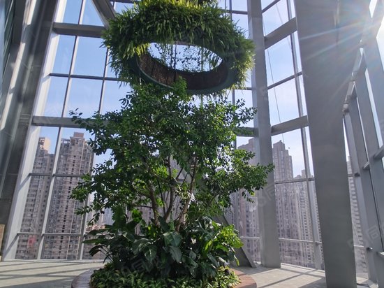 凯德晶萃广场写字楼出租/出售信息，凯德晶萃广场租金价格，图片，交通配套 -上海58联合办公网