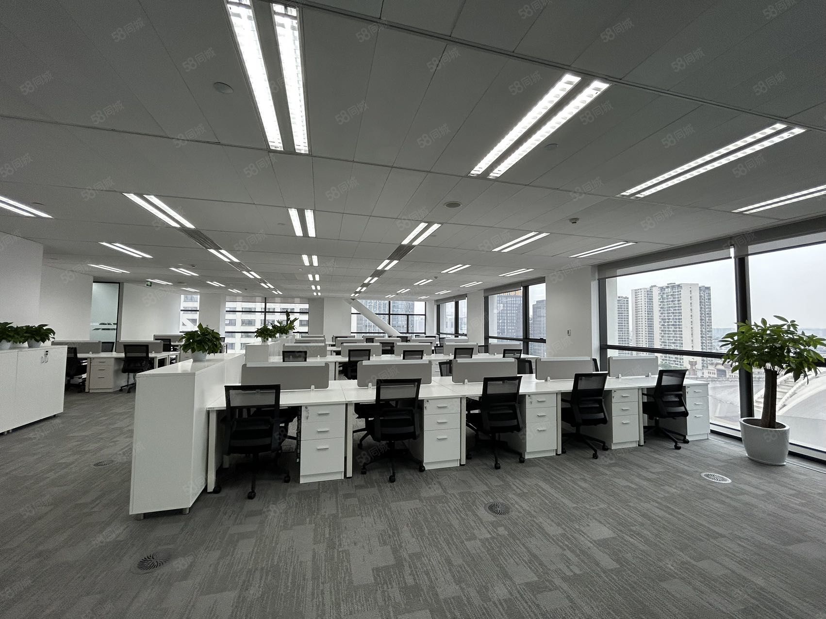 超甲来福士广场精装523平出租欢迎咨询