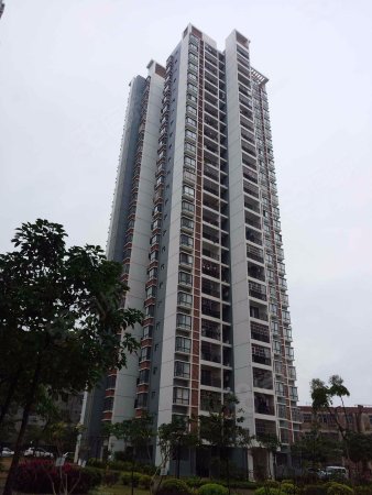 南宁西乡塘明秀路204号保利心语一室两室三室四室四室以上建筑年代