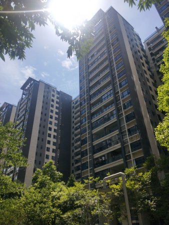 30%建筑类别:高层一室两室三室四室四室以上汇翠时代花园汕头金平华山