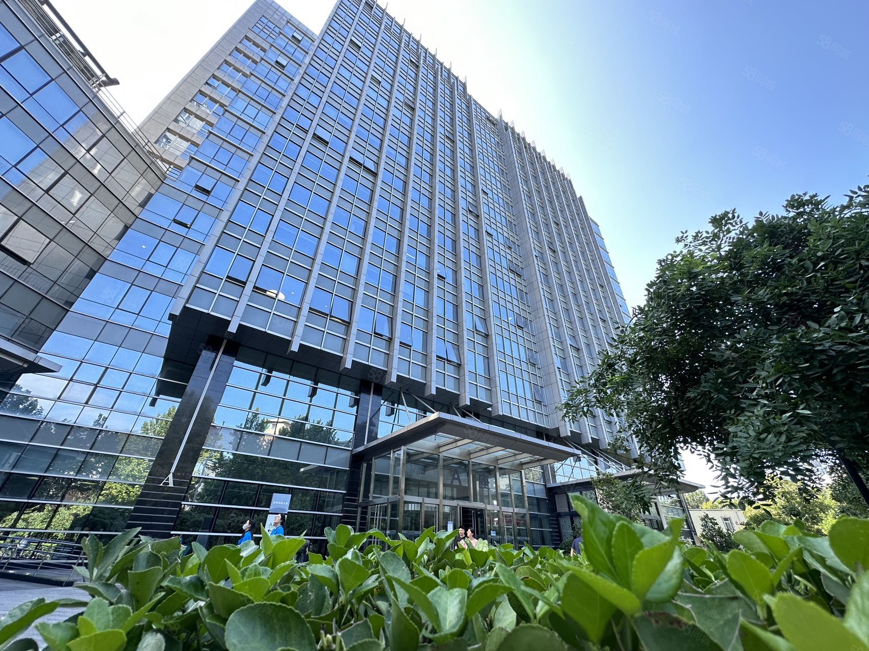 京师科技大厦(海淀)-楼库·a座·151㎡写字楼出租信息-北京58联合办公