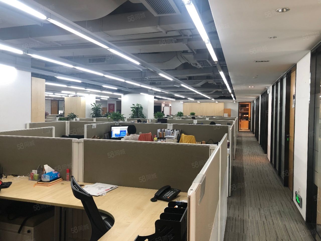 深圳写字楼楼盘>罗湖写字楼楼盘>蔡屋围写字楼楼盘>鼎丰大厦(办公)