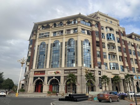         莲花国际(商住楼)